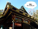 gsbNX